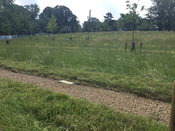 Camberwell Old - Area Z burial area